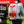 5 Gallon Gas Power Backpack Sprayer with Twin Tip Nozzle for Pesticides