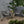 Cordella Outdoor Woven Wicker Chairs with Cushions, Set of 2