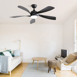 Ceiling Fan with DC Motor and Integrated Light