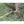 Brush Grubber HD Shrub Clump Tree Grabber Metal Chain System and Tugger Chain