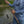 Big Country Fishing Rod - TRAPSKI