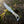 Biker Ringtail Knife Damascus Camel Bone EDC