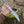 Biker Ringtail Knife Damascus Camel Bone EDC