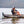 NuCanoe® QuickConnect™ Motor Shaft (K-1 & J-2)