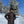Black Glacier Thermolite® Insulated Jacket - Women's - TRAPSKI