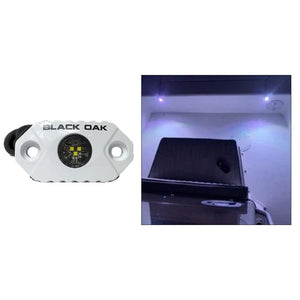 Black Oak Rock Accent Light - White LEDs - White Housing - TRAPSKI