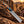 Handmade Damascus Bull Cutter with Blue Resin & Natural Wood Handle