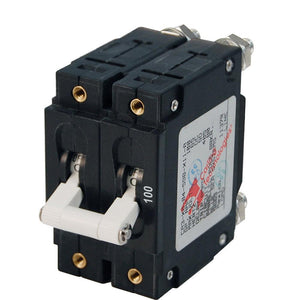 Blue Sea 7258 C-Series Double Pole Circuit Breaker - 100A - TRAPSKI