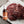 Hickman’s Bovine Bonanza Beef Injectable Marinade With Injector