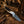 Buckaroo Cross Draw Knife – Damascus Steel with Antler Handle & Pancake Sheath