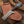 Bull Cutter Knife 1095 Damascus Steel Ranch Knife