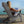Classic Gray Cedar Wood Lounge Patio Chair Set of 2