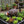 Handmade Wrought Iron Hedgehog Garden Statue