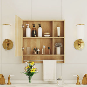 Bathroom Mirror Medicine Cabinet Wall Mounted With Shelves
