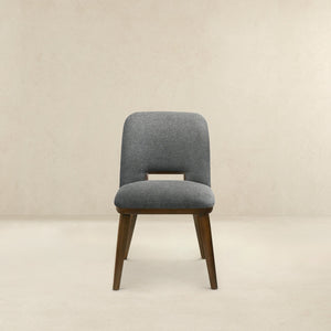 Blake - Modern Dining Chair (Set of 2)