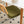 Rattan Side Accent Dining Chairs With Painted Legs (Set of 2)