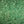Dewitt Single Landscape Excelsior Erosion Control Blanket, 8'x112.5'