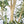 8.2FT Artificial Olive Tree With Big Decorative