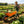Steel Tray Wheelbarrow Two-Wheeled Trolley for Garden Use