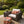 2 Pack Outdoor Lumbar Pillow Covers - Red Tropical