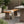 Outdoor 1pcs Acacia Wood Bench, Teak Finish