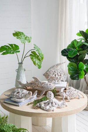 11x6.3x9.8" Decorative Polyresin Angelfish Sculpture