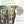 TOPMAX 78-Inch Wooden Greenhouse with Skylights and Folding Shelves