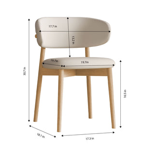 Mid-Century Modern Dining Chair (Set of 2)