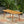 Placidity Outdoor Expandable Dining Table with Slatted Tabletop and Tapered Legs