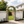 Metal Garden Arch with Two Plant Stands