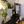 Modern Round Dining Table - Black ∅31.5''
