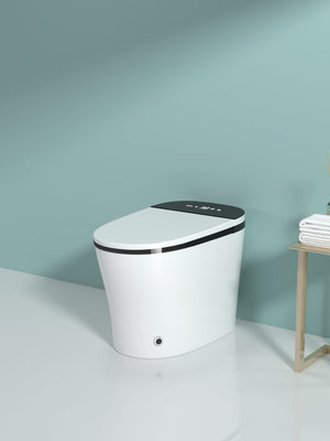 Smart Toilet with Bidet Built In, Heated Seat, Auto Flush, and LED Display