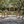 Durable Outdoor Dining Chair Set with Acacia Wood Frame and Wicker Seat