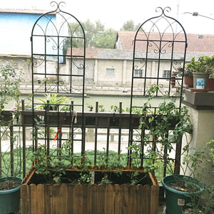 Metal Garden Rustproof Trellis For Climbing Plants Outdoor Flower Support