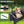 All-in-One Convertible Folding 4-Wheel Trolley with Bench Seat