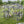 Large Outdoor Catio for 6-10 Cats