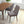 Kate - Mid-Century Modern Dining Chair (Set of 2)