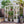 TOPMAX 78-Inch Wooden Greenhouse with Skylights and Folding Shelves