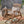 Outdoor Acacia Wood Rocking Chair with Retractable Foot Panel