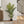 57-Inch Tall Artificial Palm Tree