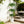 Artificial Ficus Tree With Pot For Home Decor Indoor Plant - Green