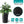 Planter For Outdoor