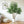7FT Artificial Willow Tree Indoor Faux Greenery Plant