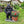 Outdoor Garden Sculpture Chimpanzees Flower Pot Planter