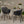 Lotus Chair Set of 2