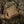 M-Tac Utility Pouch Elite (Small)