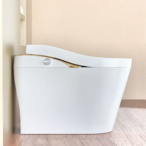 Modern Smart Toilet With Bidet, Auto Flush, Heated Seat, and More