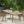 Placidity Outdoor Expandable Dining Table with Slatted Tabletop and Tapered Legs