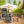 2Pcs Foldable Camping Table Portable Picnic Table Lightweight Travel Desk with 2 Cup Holders/Table Carrying Bag