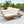 Acacia Wood Lounge Chaise Set With Headrest And Water Resistant Cushions - Beige